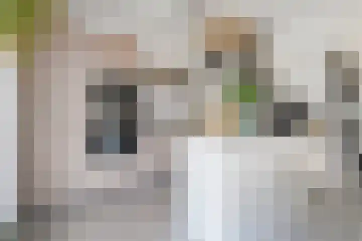 Buddy Hollystraat 10 Middelburg thumbnail 11