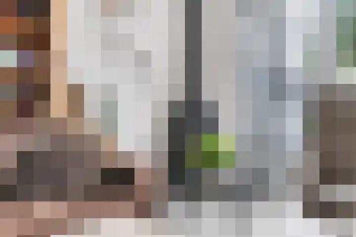Buddy Hollystraat 10 Middelburg thumbnail 17