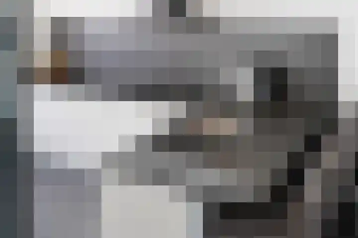 Buddy Hollystraat 17 Middelburg thumbnail 7