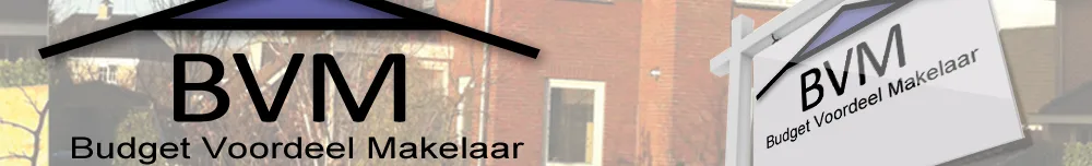 Mannschaftsfoto von Budgetvoordeelmakelaar
