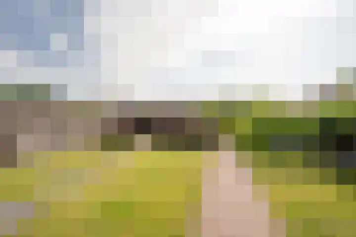 Budkestraat 23 Voorthuizen thumbnail 10