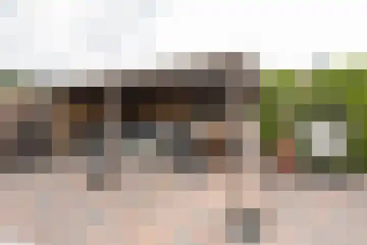 Budkestraat 23 Voorthuizen thumbnail 11