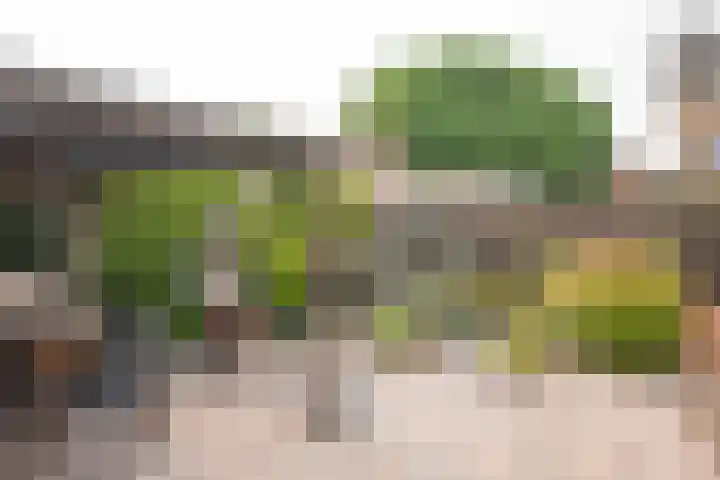 Budkestraat 23 Voorthuizen thumbnail 12
