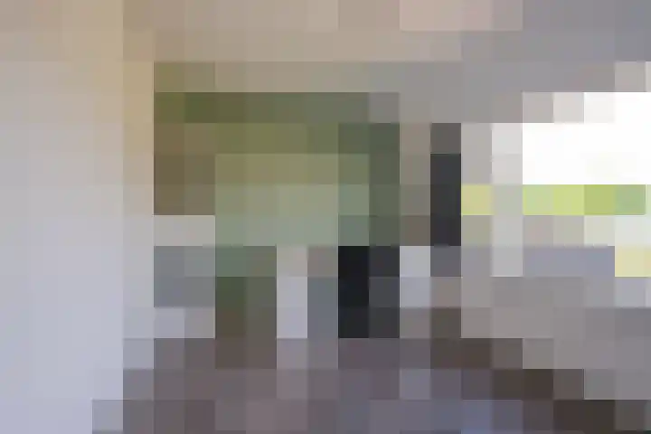Budkestraat 23 Voorthuizen thumbnail 31