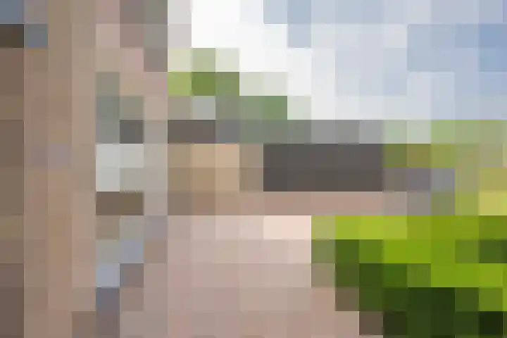 Budkestraat 23 Voorthuizen thumbnail 4