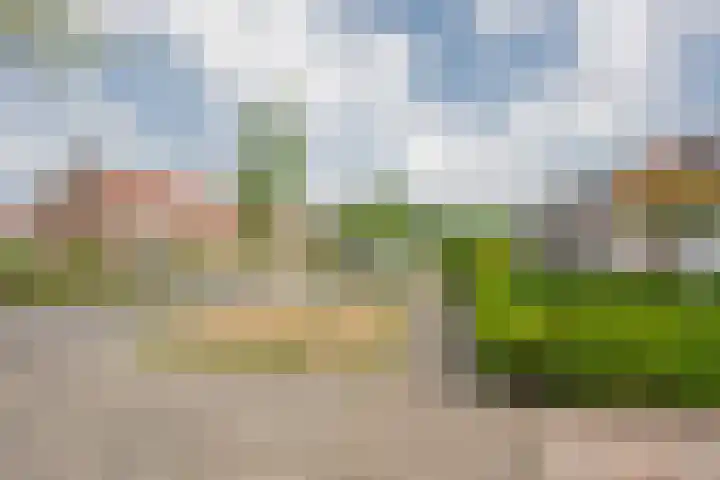 Budkestraat 23 Voorthuizen thumbnail 5