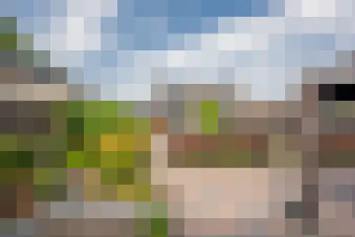 Budkestraat 23 Voorthuizen thumbnail 6