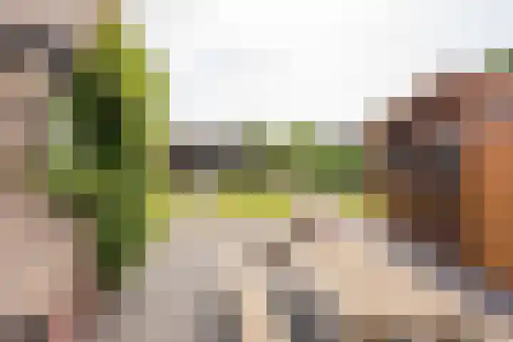 Budkestraat 23 Voorthuizen thumbnail 9