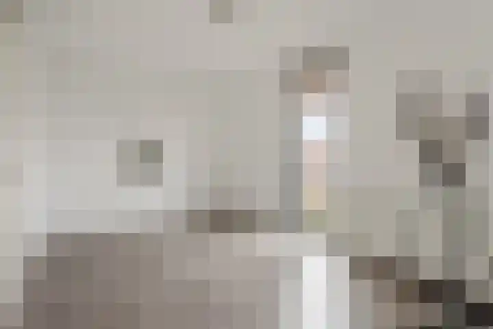Buenos Aireshof 36 Den Haag thumbnail 24