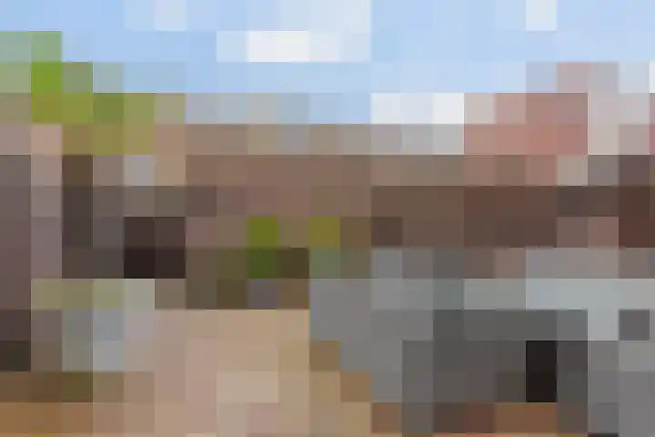 Buenos Aireshof 36 Den Haag thumbnail 28