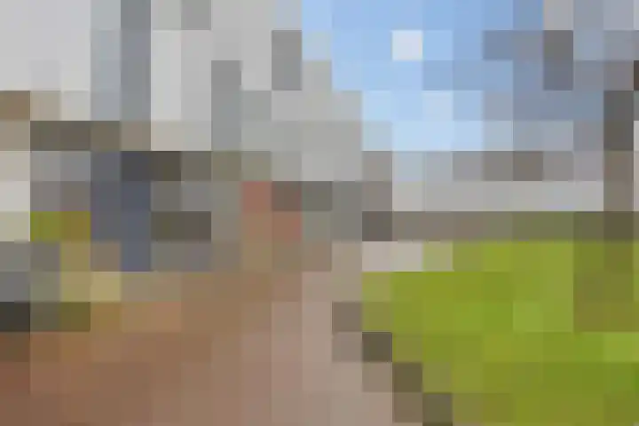 Buenos Aireshof 36 Den Haag thumbnail 30
