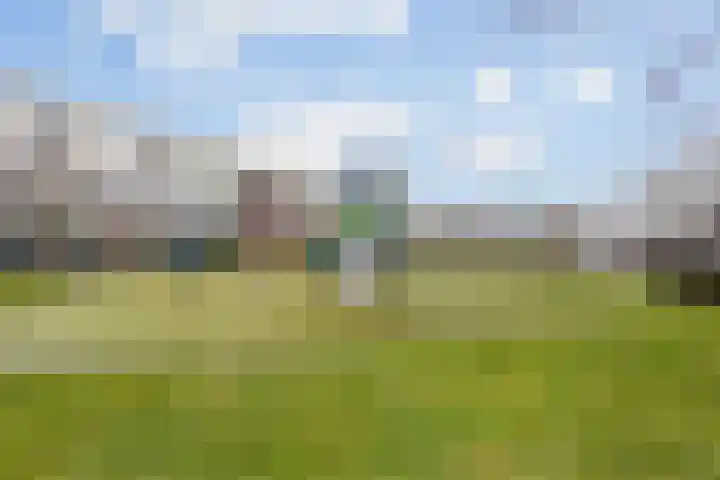 Buenos Aireshof 36 Den Haag thumbnail 34