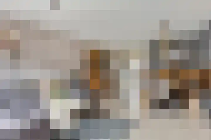Buenos Aireshof 36 Den Haag thumbnail 7