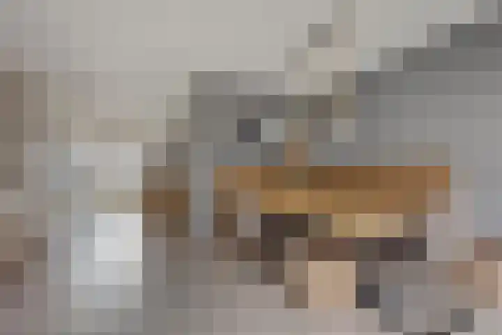 Buenos Aireshof 36 Den Haag thumbnail 8