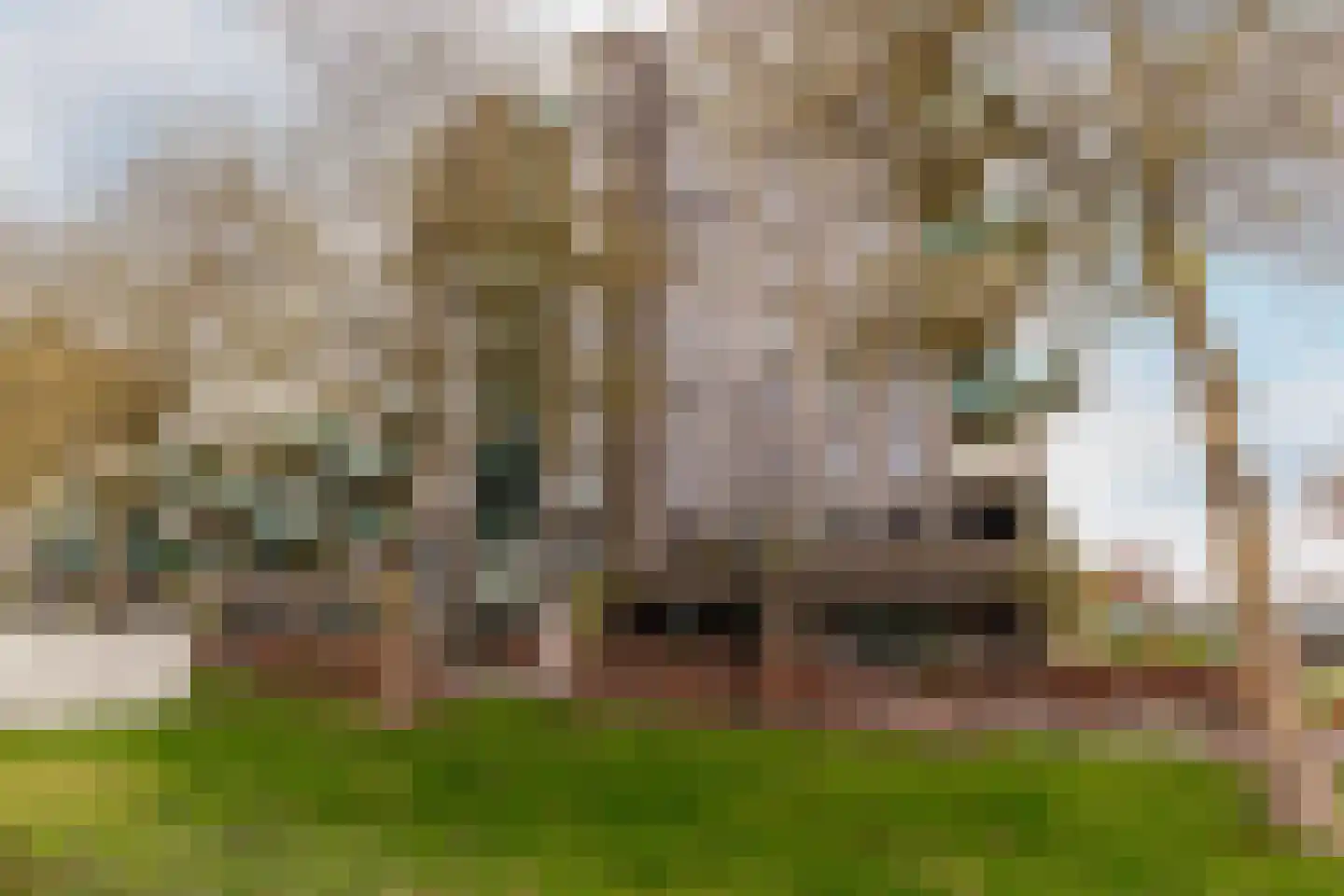 Buenos Airesstraat 115 Almere thumbnail 24