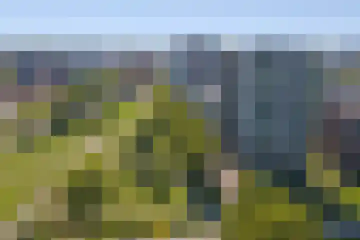 Buenos Airesstraat 157 Almere thumbnail 27