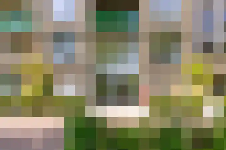 Buenos Airesstraat 161 Almere thumbnail 5