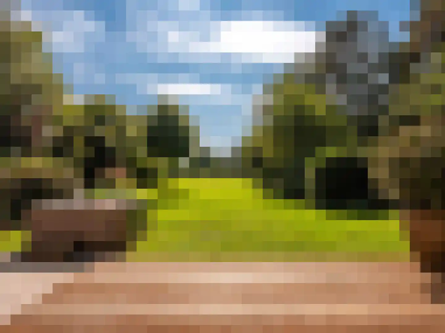 Buerweg 15 Bergen (NH) thumbnail 25
