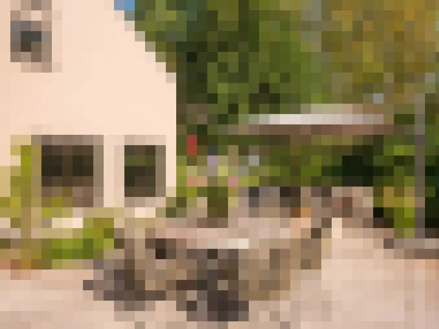 Buerweg 15 Bergen (NH) thumbnail 27
