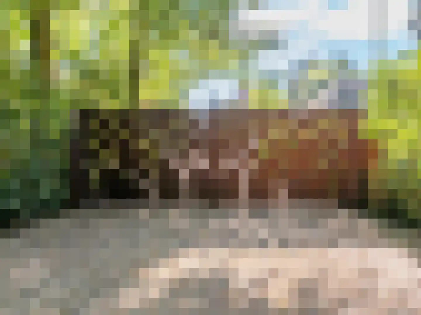 Buerweg 15 Bergen (NH) thumbnail 5