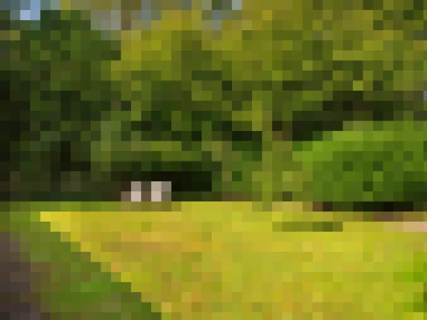 Buerweg 15 Bergen (NH) thumbnail 55