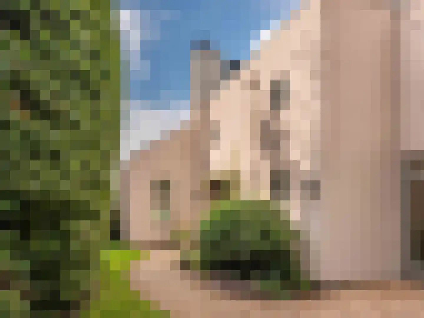 Buerweg 15 Bergen (NH) thumbnail 8