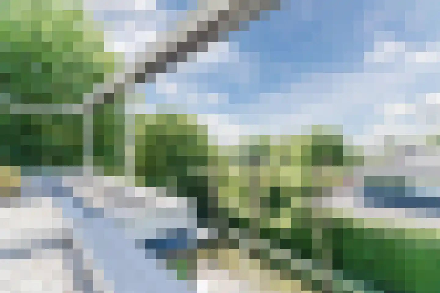Buerweg 25 Bergen (NH) thumbnail 26