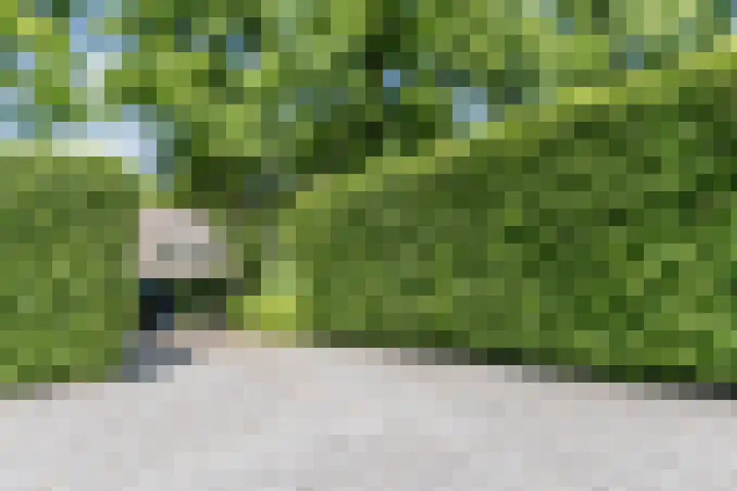 Buerweg 25 Bergen (NH) thumbnail 34