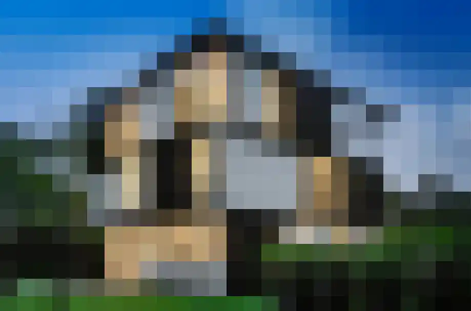 Buerweg 25 Bergen (NH) thumbnail 36