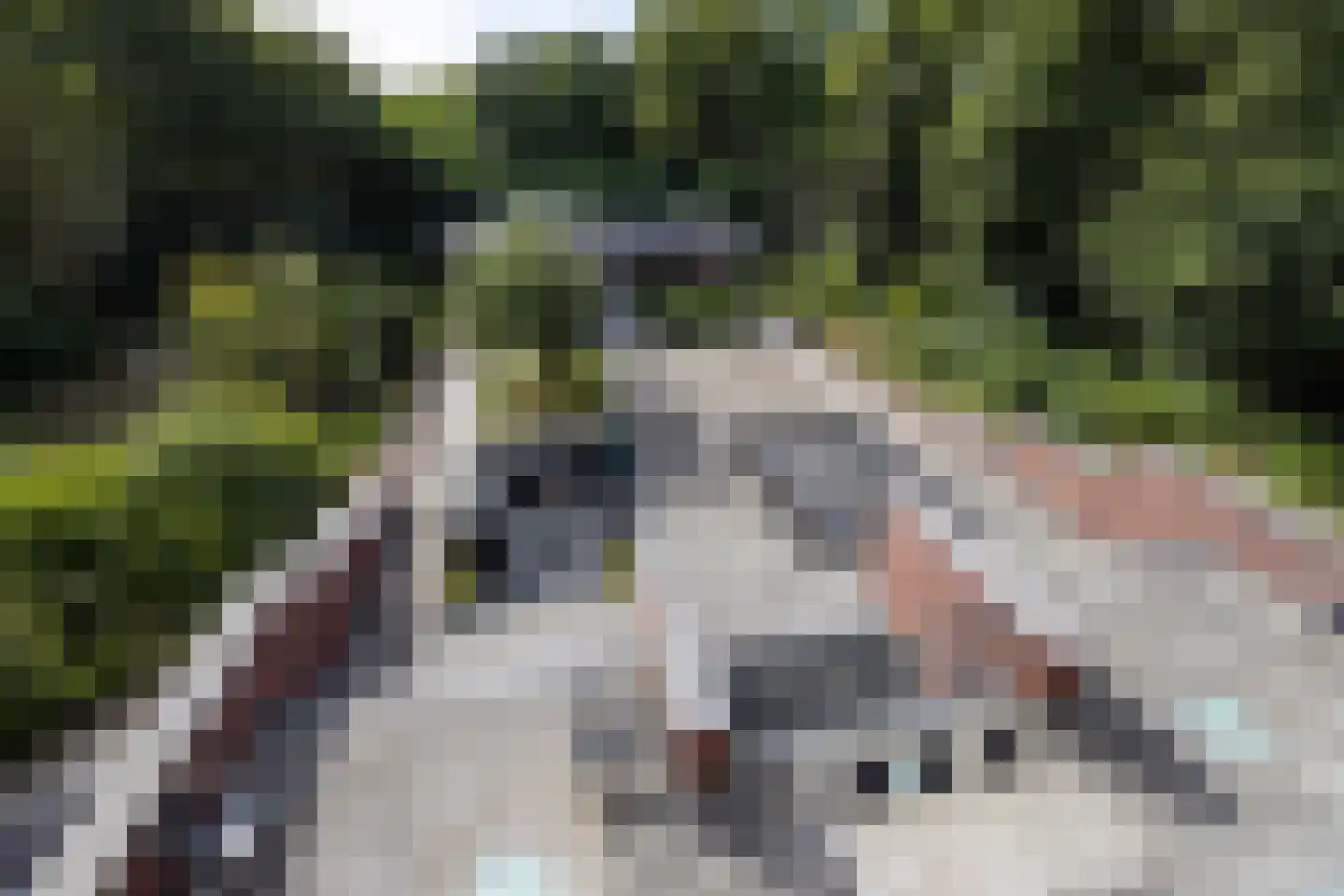 Buerweg 31 Bergen (NH) thumbnail 20