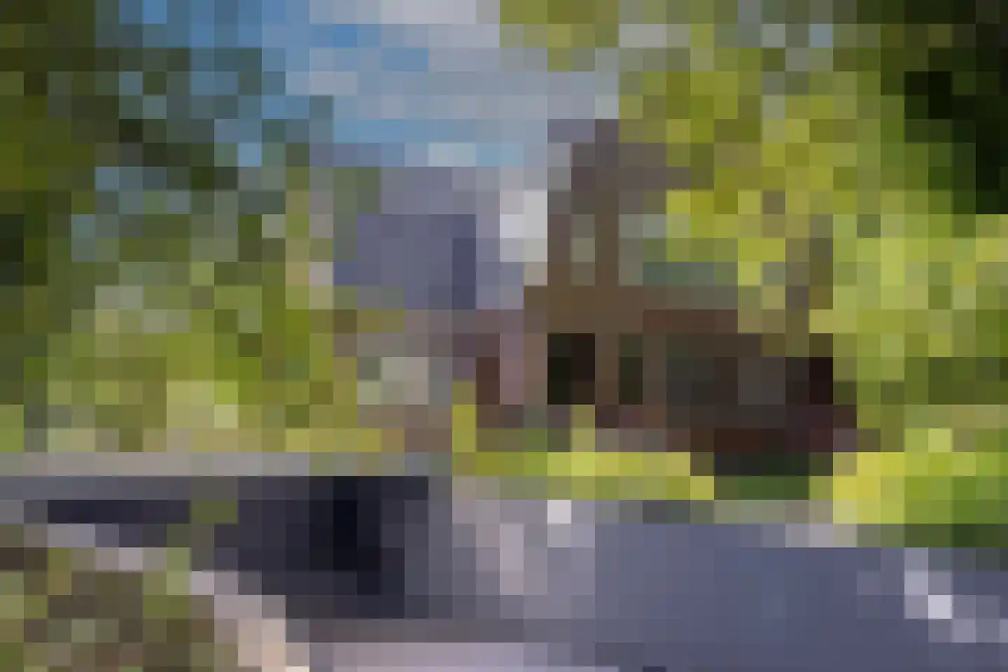 Buerweg 31 Bergen (NH) thumbnail 22