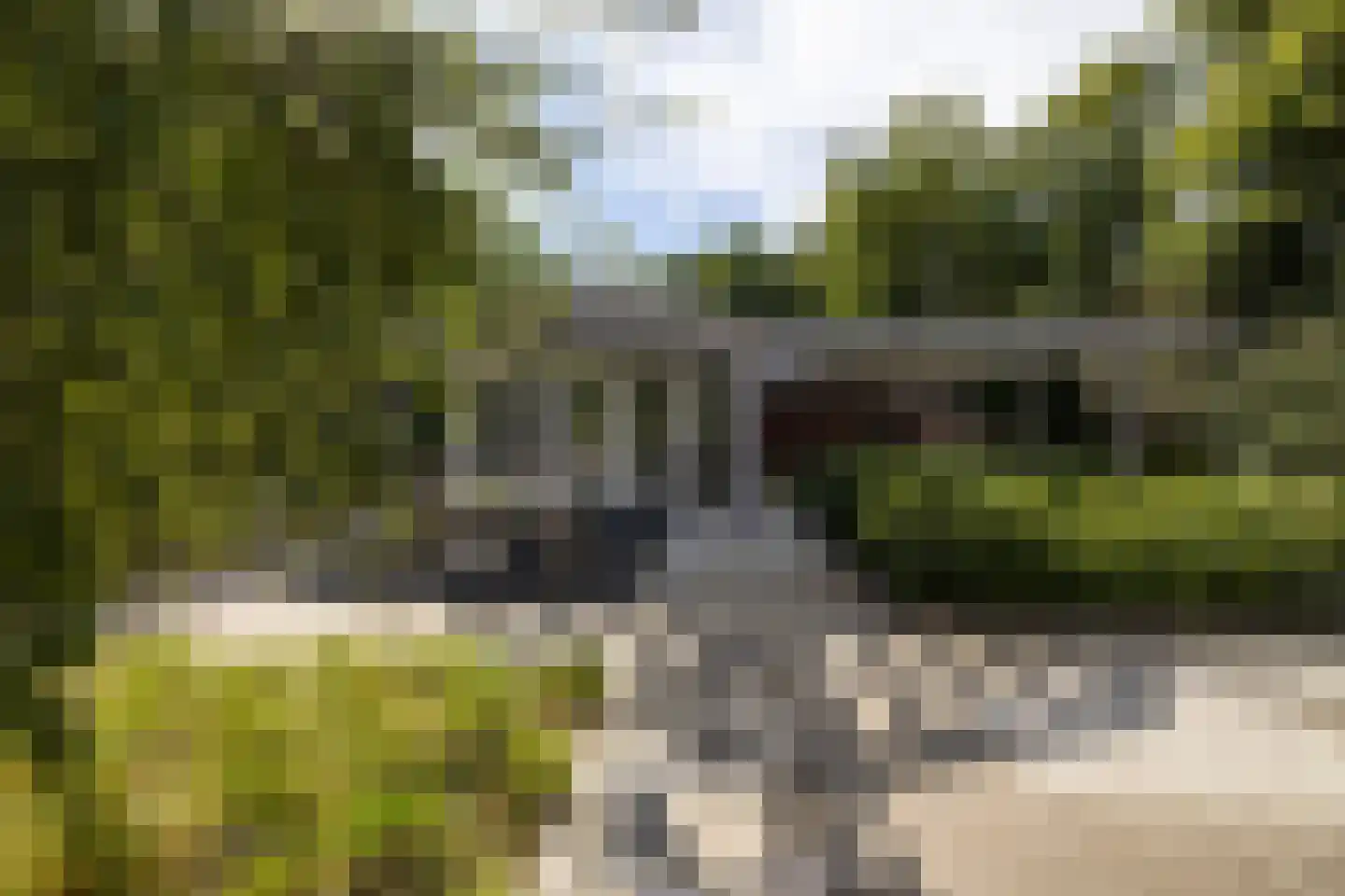 Buerweg 31 Bergen (NH) thumbnail 25