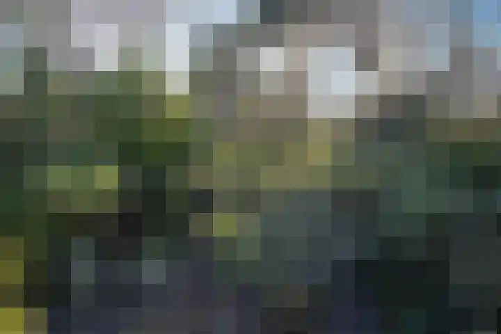 Buerweg 43 S Bergen (NH) thumbnail 13