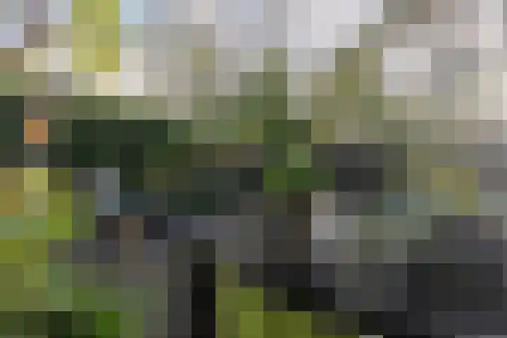 Buerweg 43 S Bergen (NH) thumbnail 21