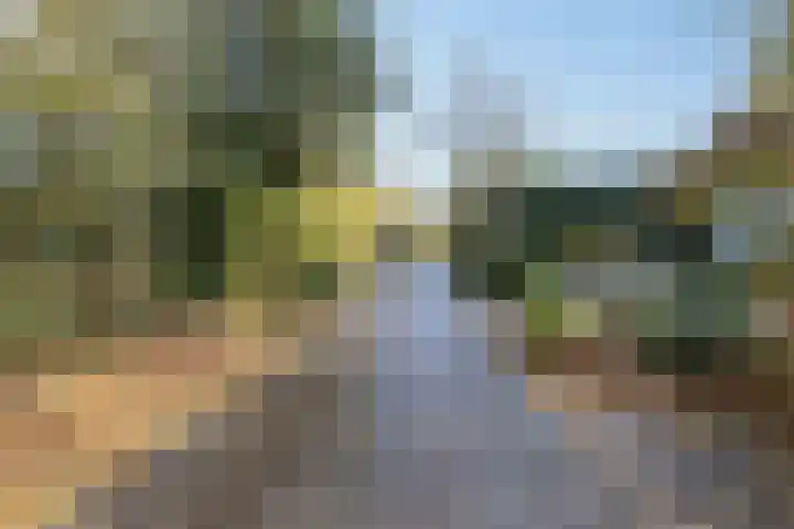 Buerweg 43 S Bergen (NH) thumbnail 30