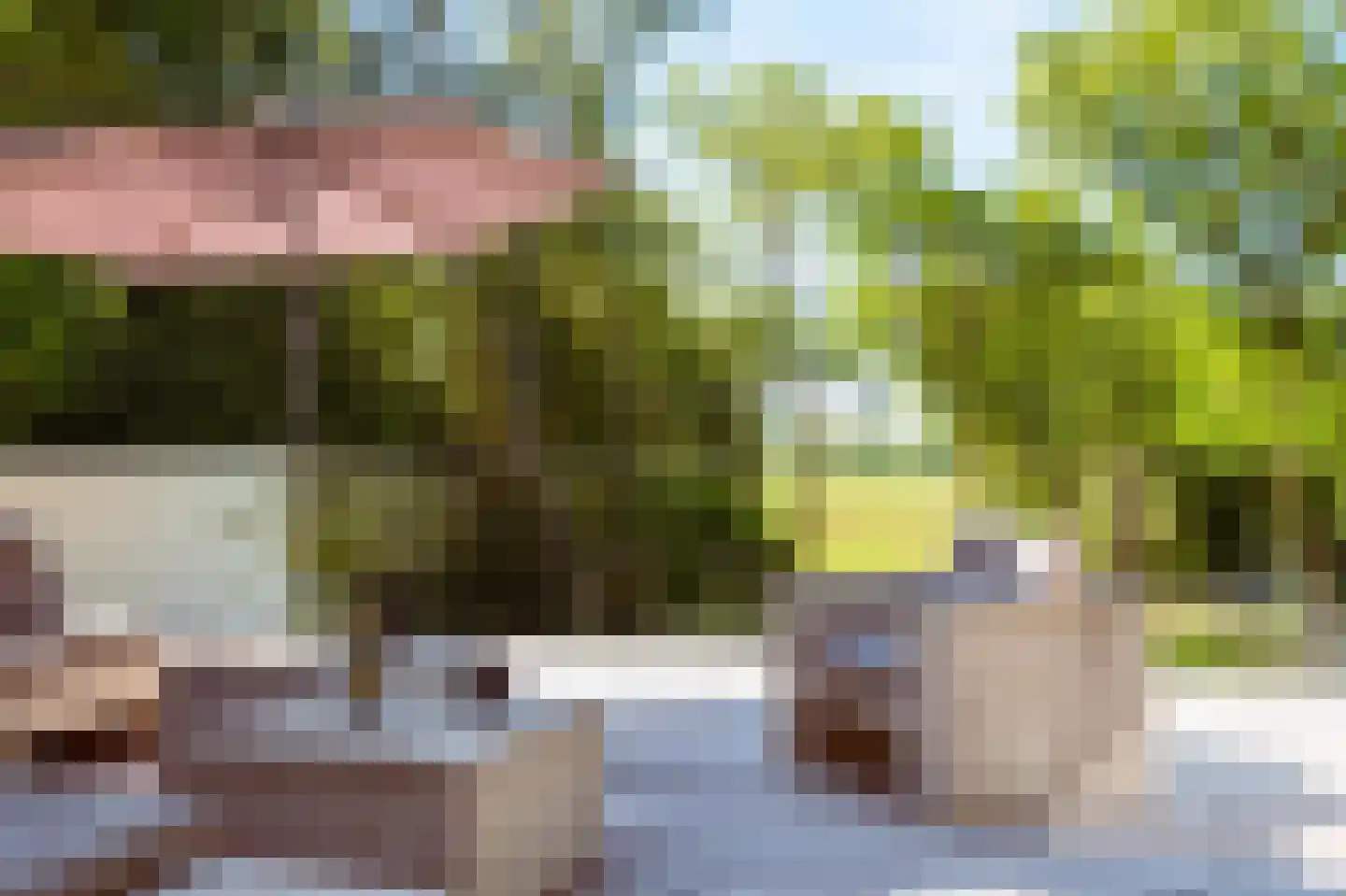 Buerweg 69 Bergen (NH) thumbnail 19