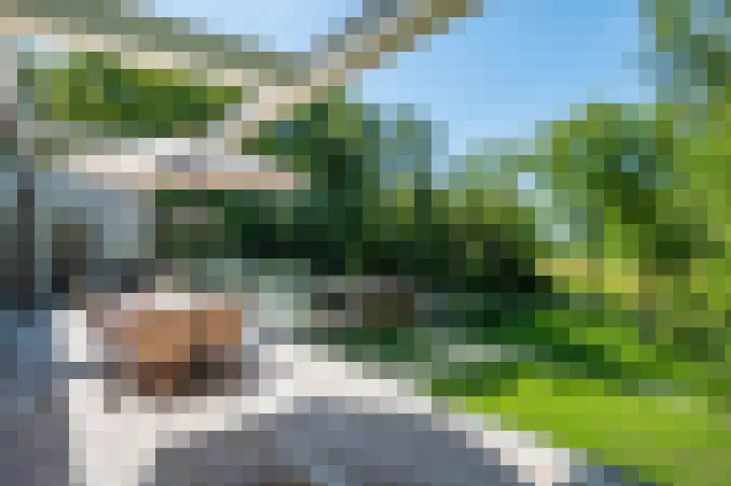 Buerweg 69 Bergen (NH) thumbnail 4