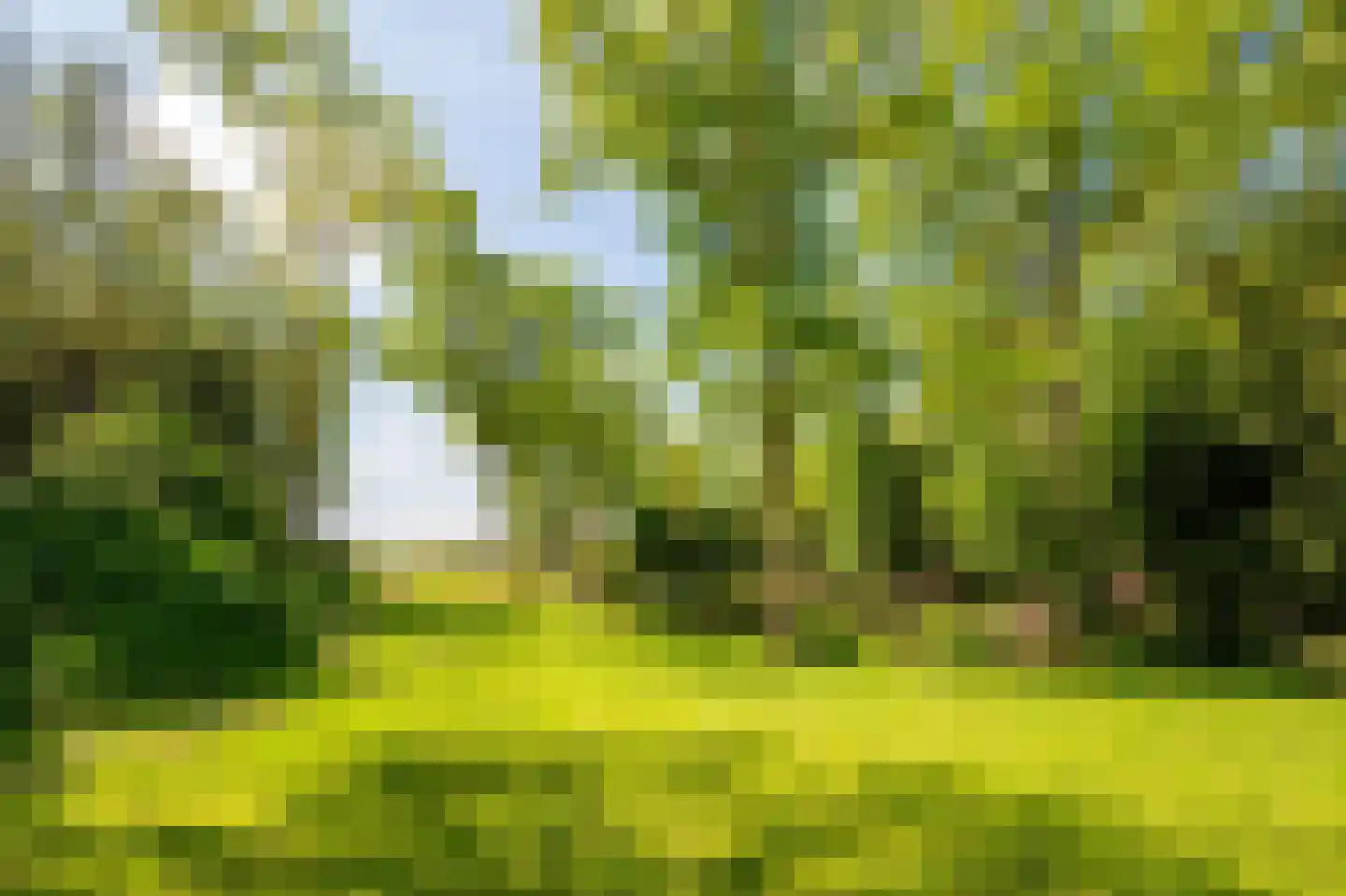 Buerweg 69 Bergen (NH) thumbnail 47
