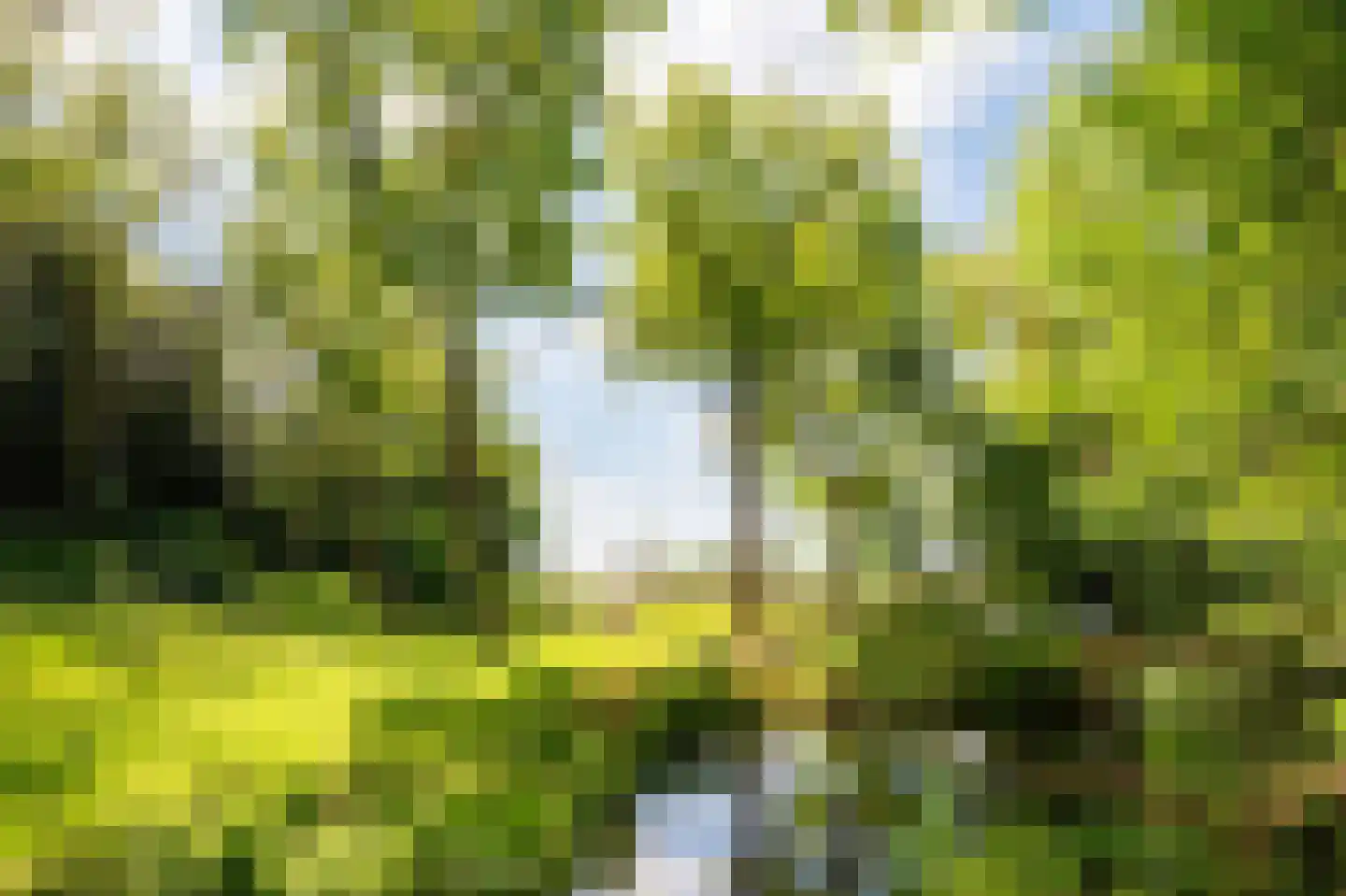 Buerweg 69 Bergen (NH) thumbnail 48