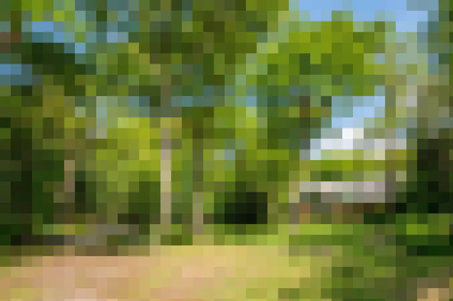 Buerweg 69 Bergen (NH) thumbnail 50