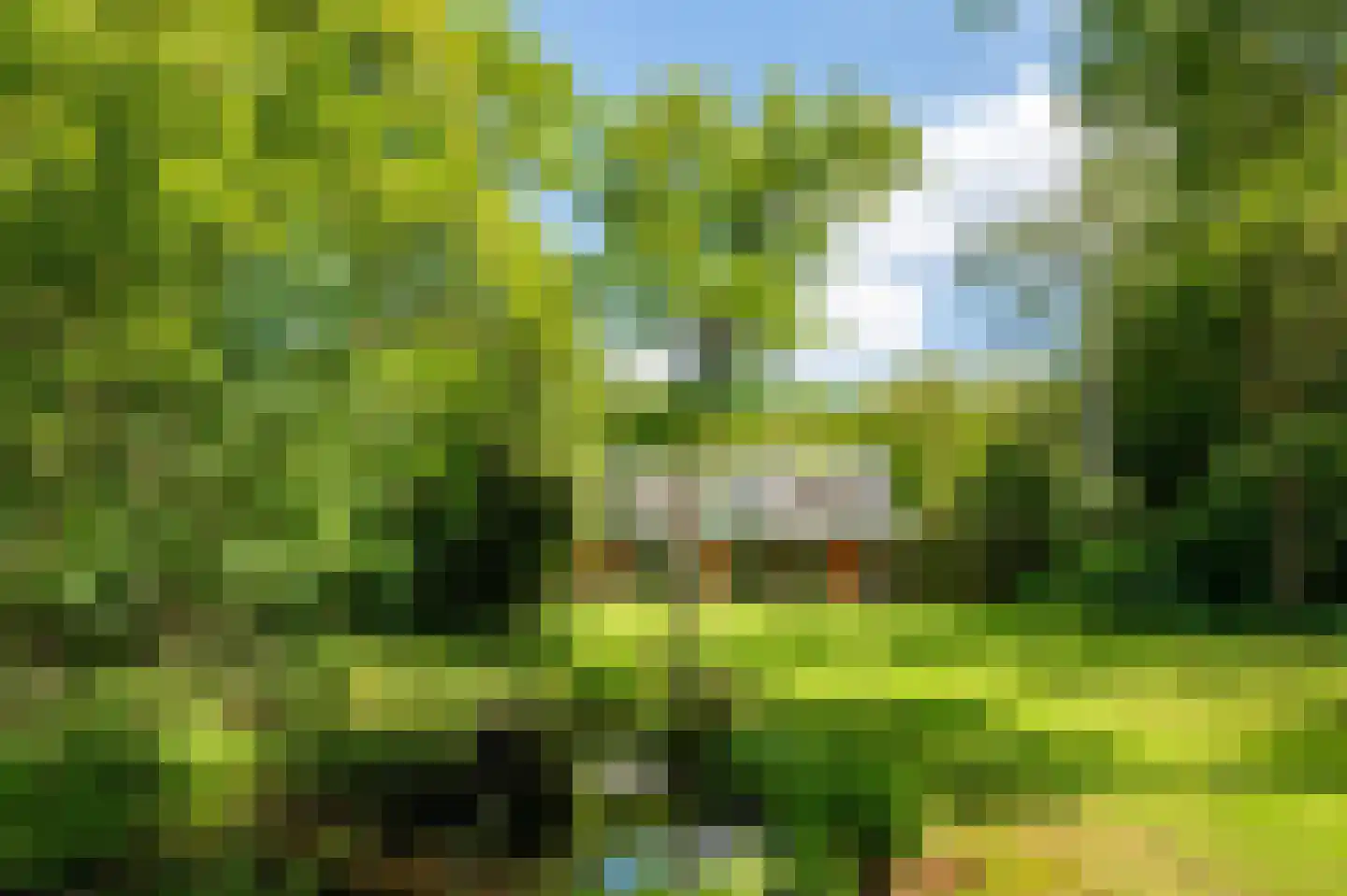 Buerweg 69 Bergen (NH) thumbnail 51