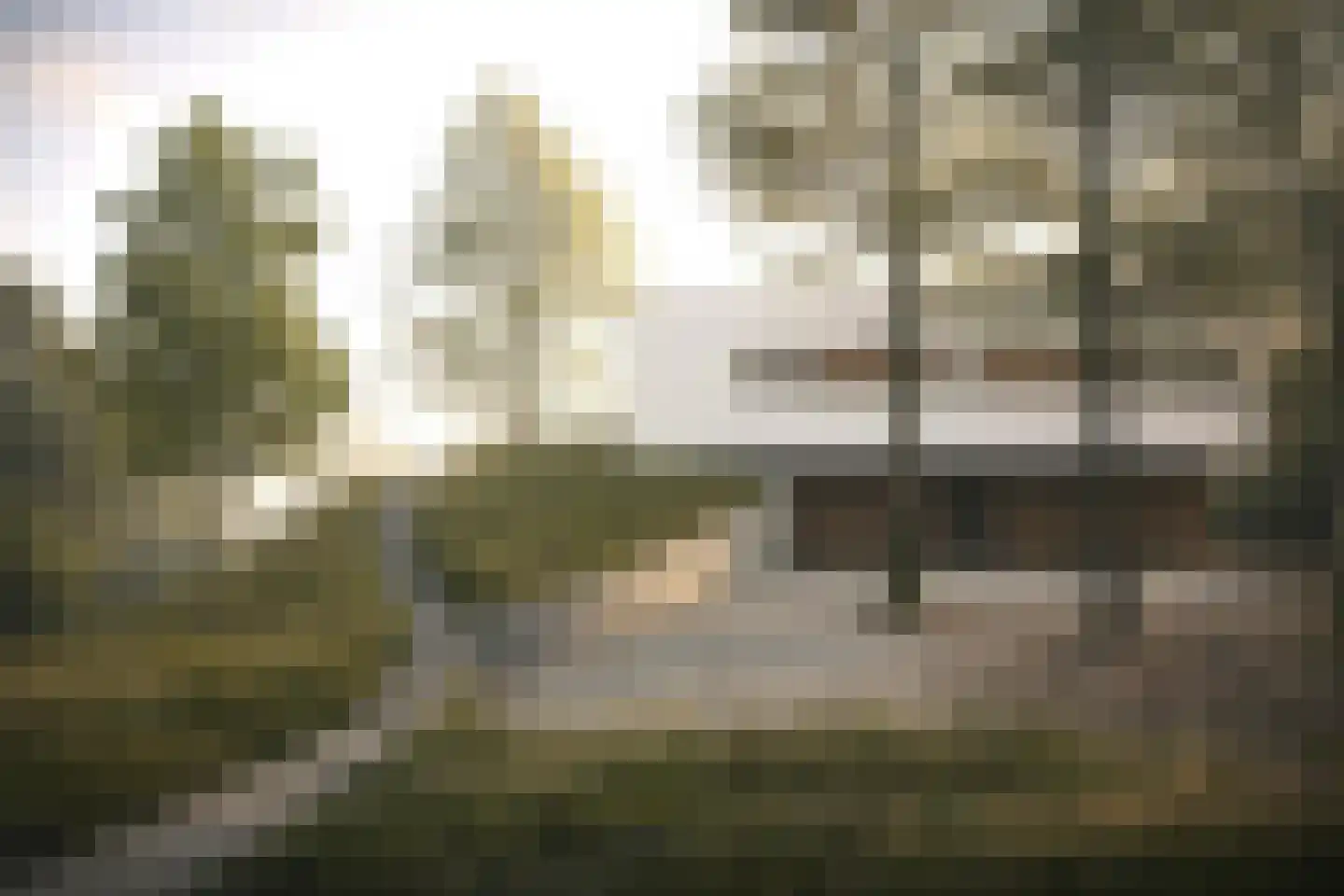 Buerweg 69 Bergen (NH) thumbnail 55