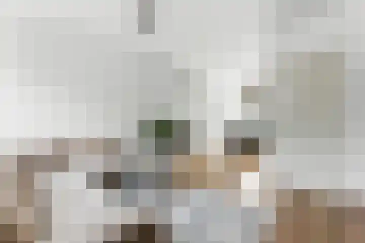 Buffelstraat 152 Rotterdam thumbnail 9