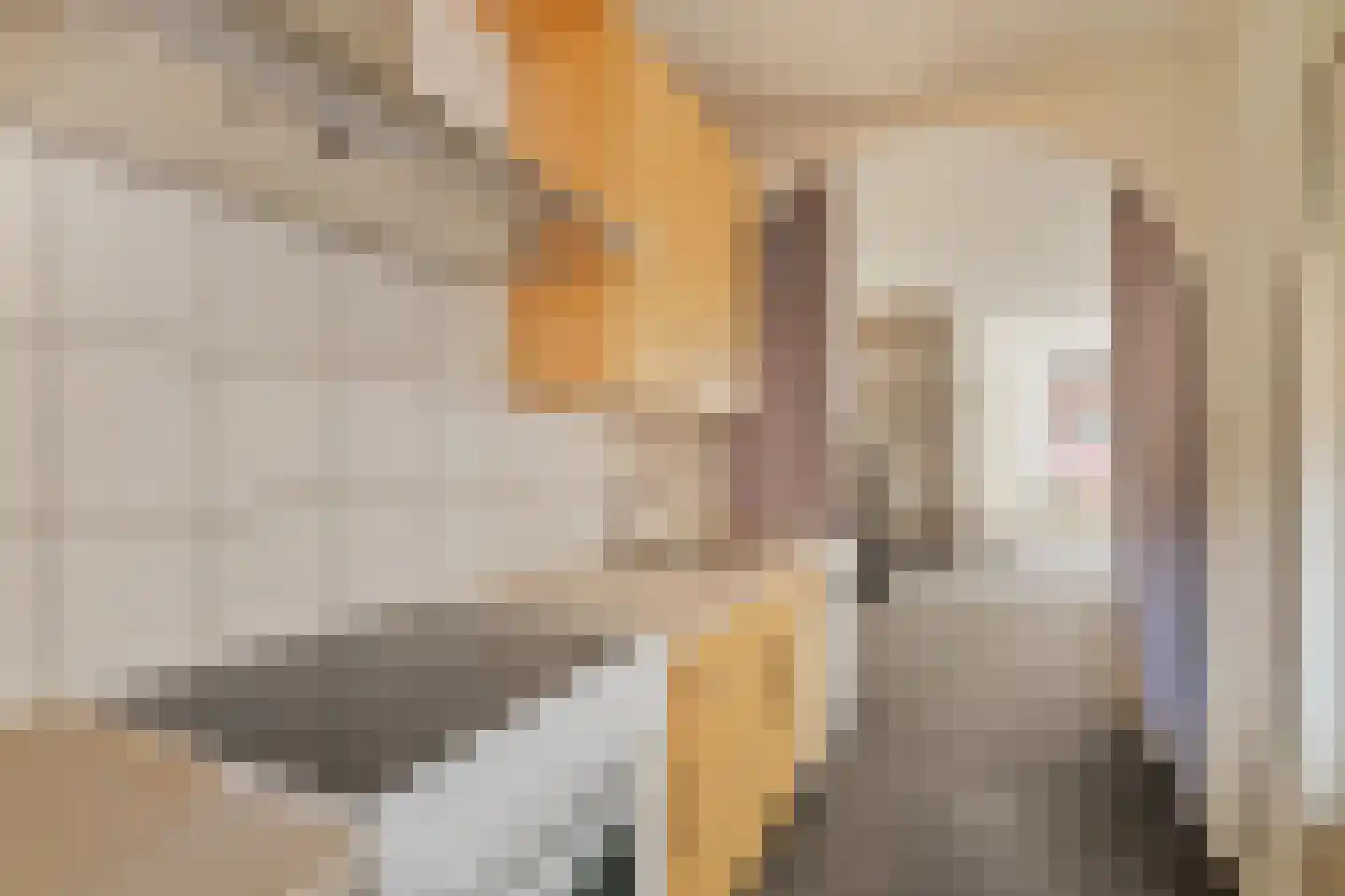 Buffelstraat 153 Rotterdam thumbnail 5