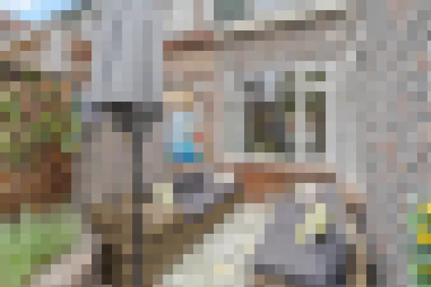 Buffelstraat 172 Rotterdam thumbnail 24