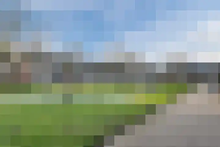 Buffelstraat 25 Almere thumbnail 39