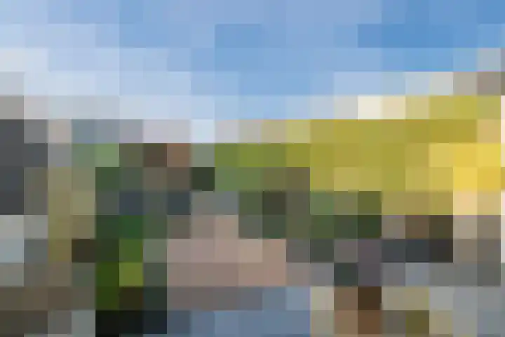 Buffelstraat 25 Almere thumbnail 5