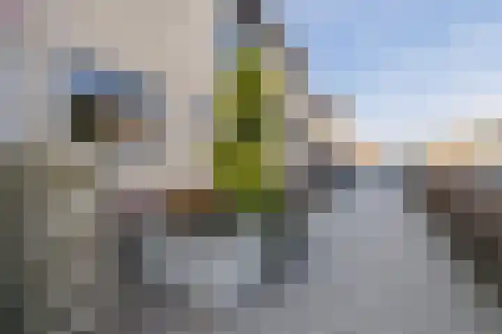 Buffelstraat 25 Almere thumbnail 6