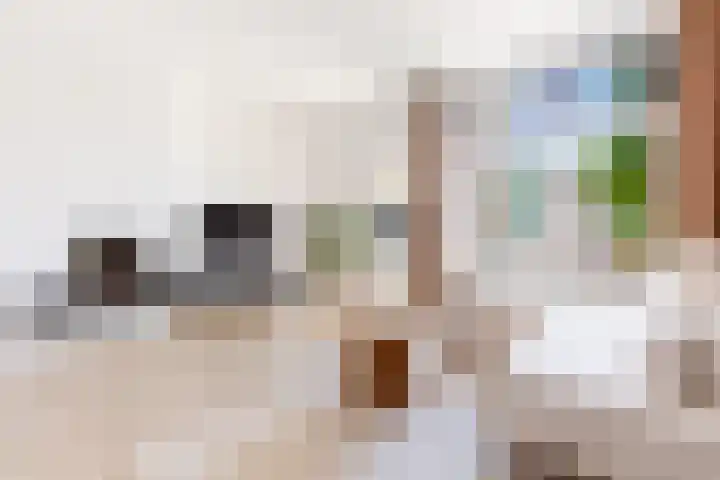 Buffelstraat 95 Rotterdam thumbnail 15