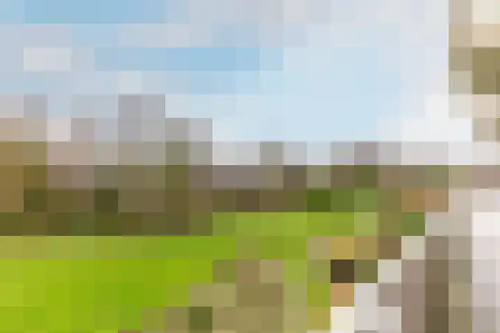 Bugel 114 Capelle aan den IJssel thumbnail 13